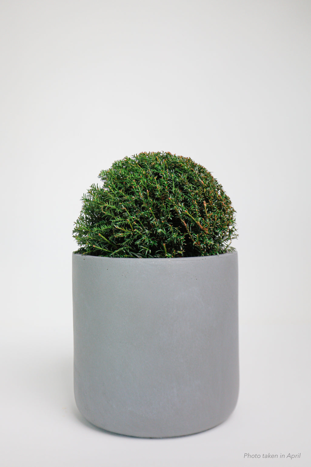 products/SotoProductShootLowQ-2715.jpg